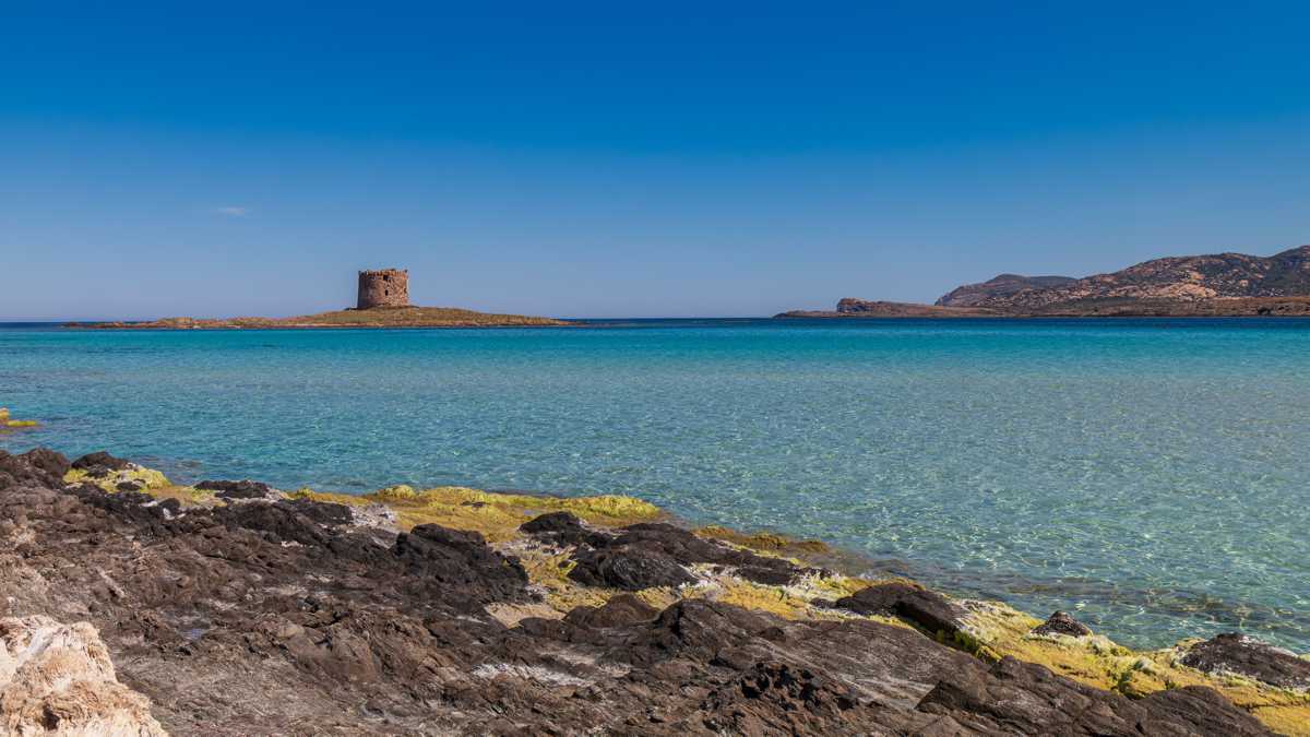 La Pelosa beach Stintino tower shallow water