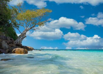 Beach Bungalows Thailand
