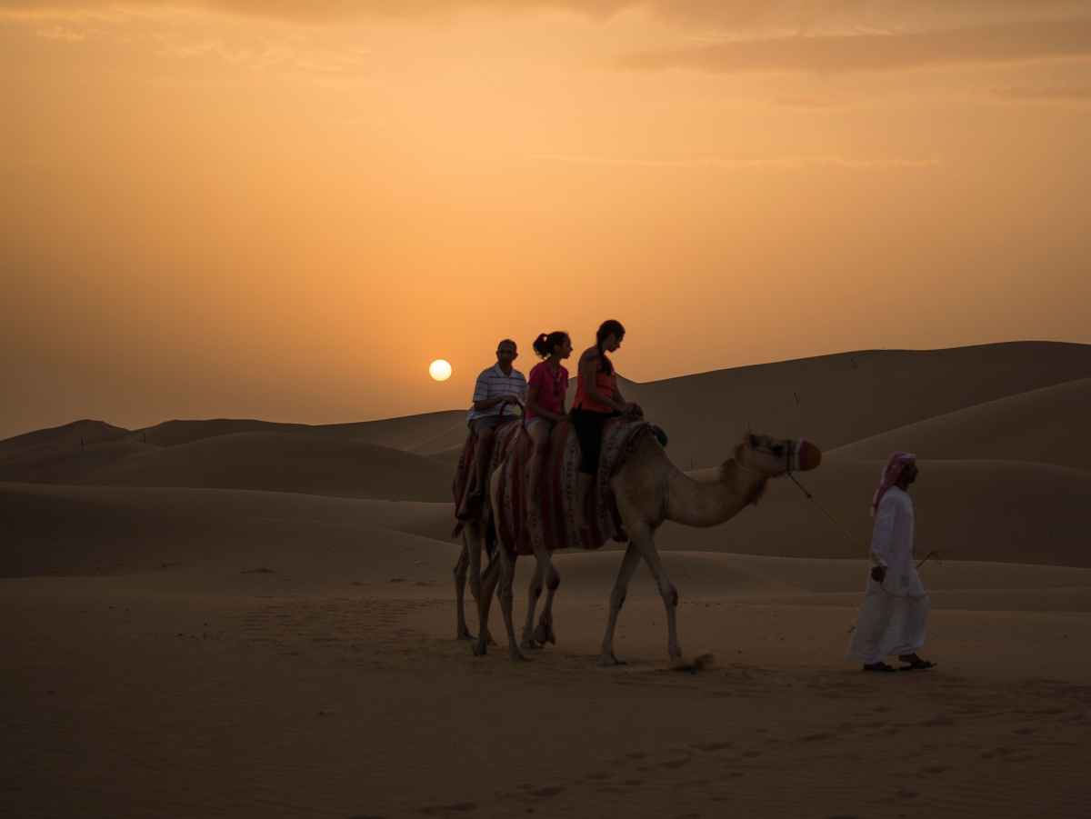 Dubai desert dunes sunset camels