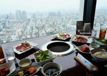 Overhead spread of traditional Tokyo food